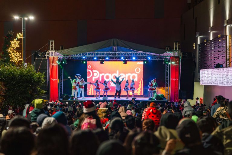 La magia de la Navidad Pradera 5