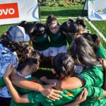 lenvo foundation